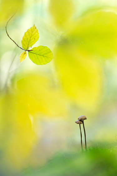 Perdita the_two_of_us