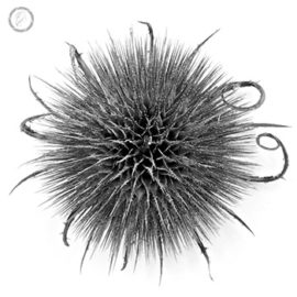 FNP Portfolio carousel 65