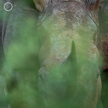 Portfolio carousel 66