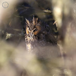 Portfolio carousel 67