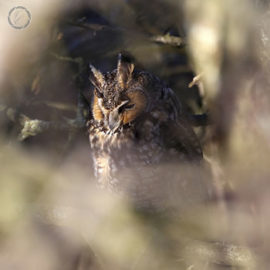 Portfolio carousel 67