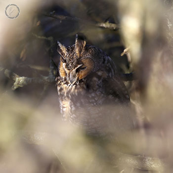 Portfolio carousel 67