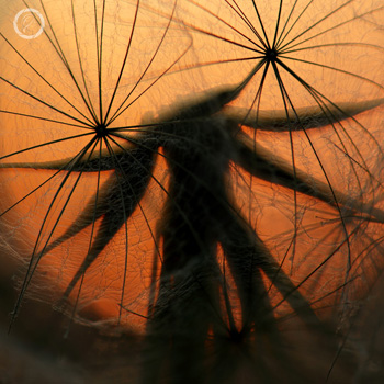 Portfolio carousel Jodie