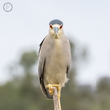 Portfolio carousel Krisztina