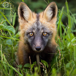 Portfolio carousel Brittany