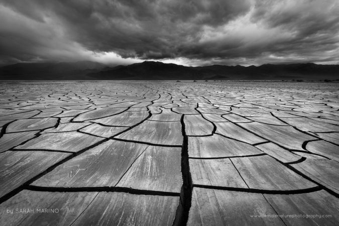 Spring Storm over Mud Cracks