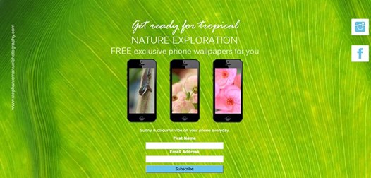 Stephanie Manuel Photography