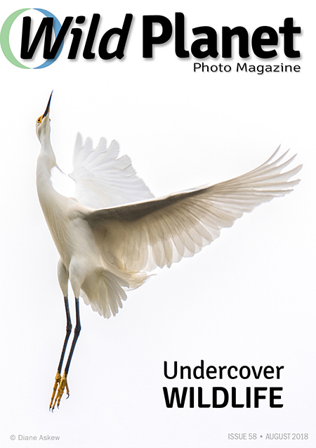 WPM_058_August_Cover