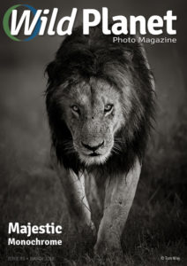 WPM-March-18-issue-53-cover