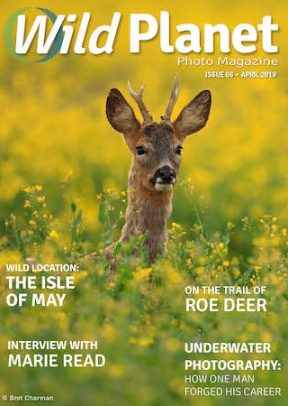 Wild Planet Photo Magazine April cover image